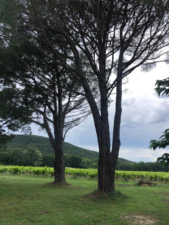 La Grange De Marie Villa Valaurie Ngoại thất bức ảnh